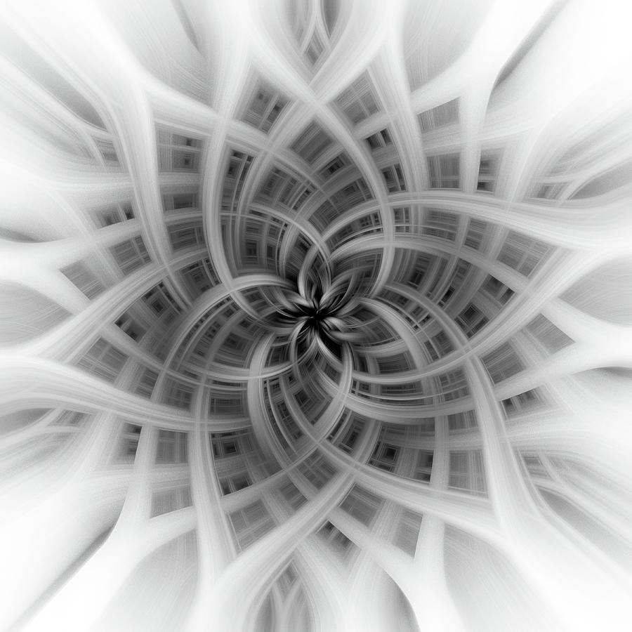 Floral Abstract in Black and White 1 Digital Art by Teresa Wilson