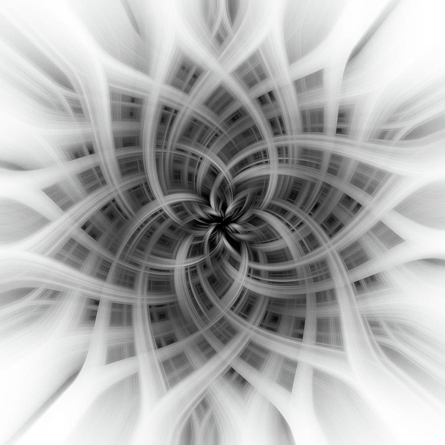 Floral Abstract in Black and White 2 Digital Art by Teresa Wilson
