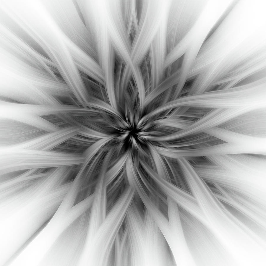 Floral Abstract in Black and White 3 Digital Art by Teresa Wilson
