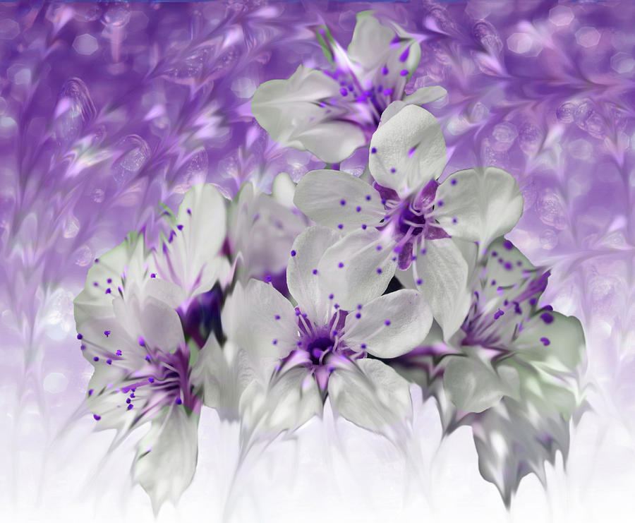 Floral Abstract  Photograph by Marilyn MacCrakin