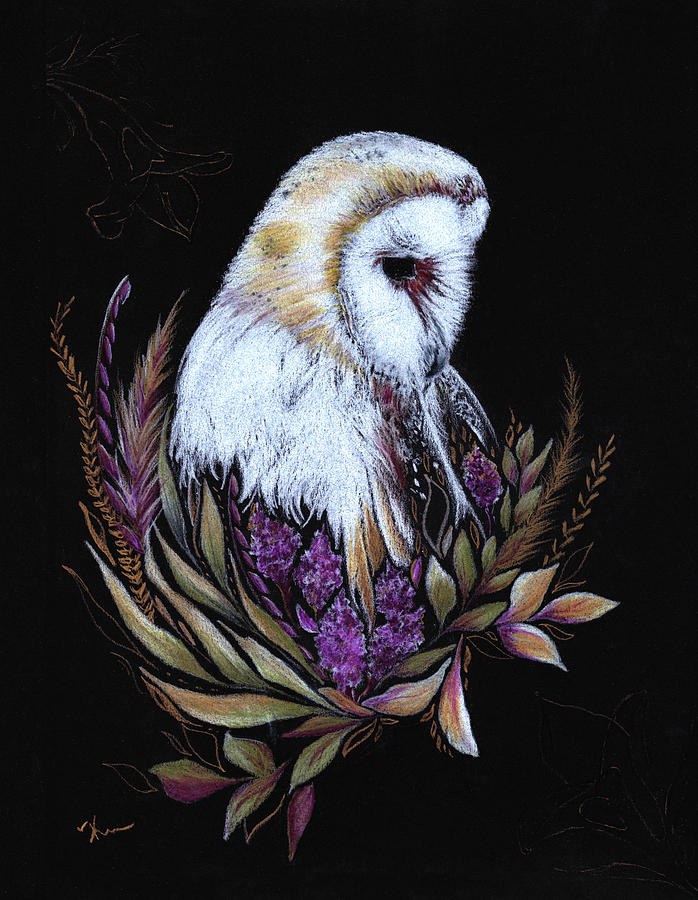 Floral Barn Owl II Drawing by Katrina Nixon