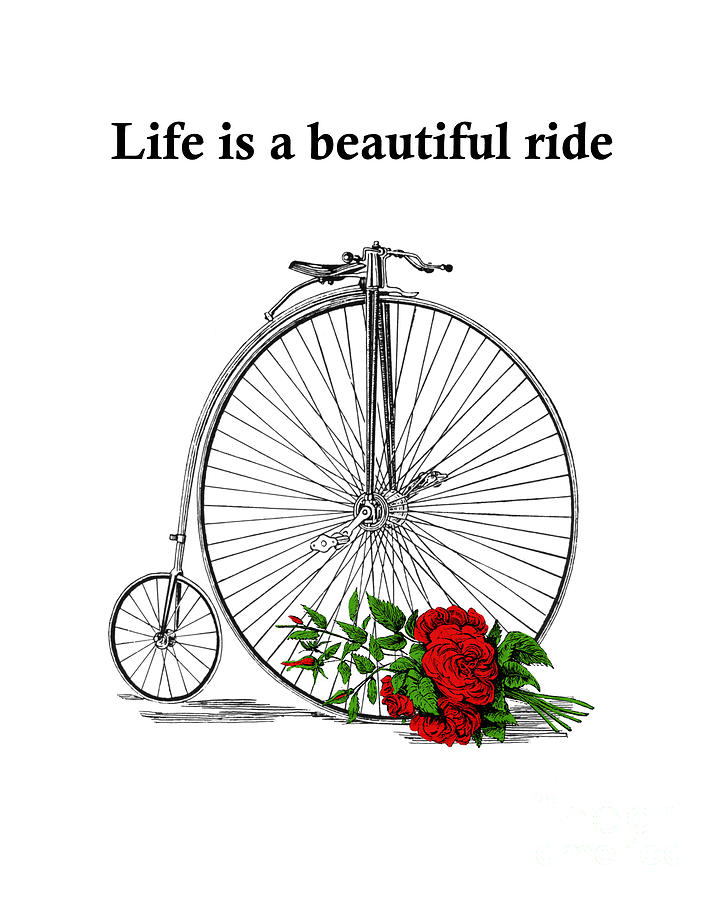 Rose Digital Art - Floral Bicycle by Madame Memento