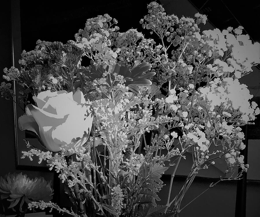 Floral Black and White Photograph by John Anderson