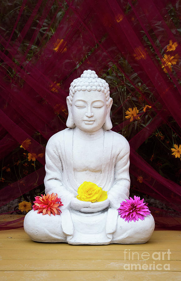 Floral Buddha Photograph by Tim Gainey
