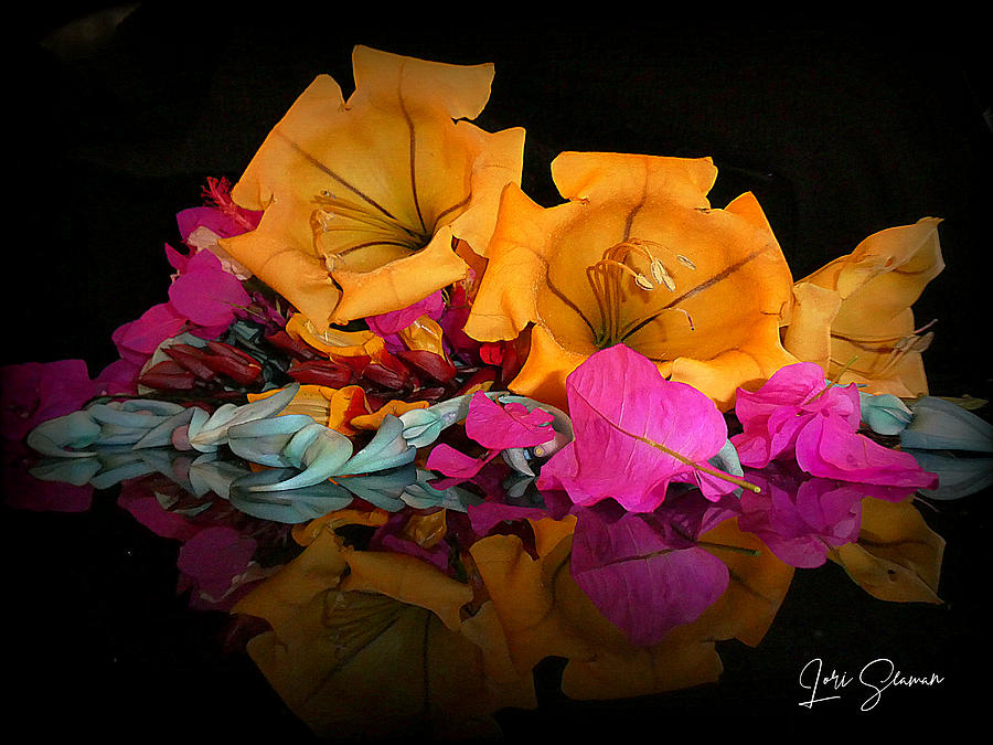 Floral Cacophony of Colors Photograph by Lori Seaman