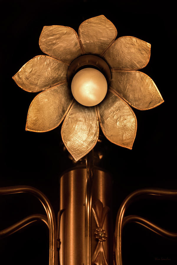 Light My Flower Photograph by Wim Lanclus