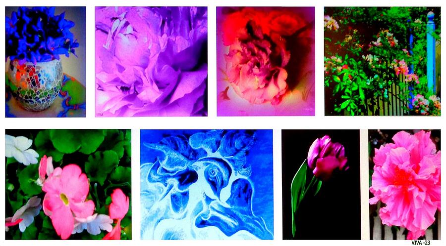 Floral Collage  Photograph by VIVA Anderson