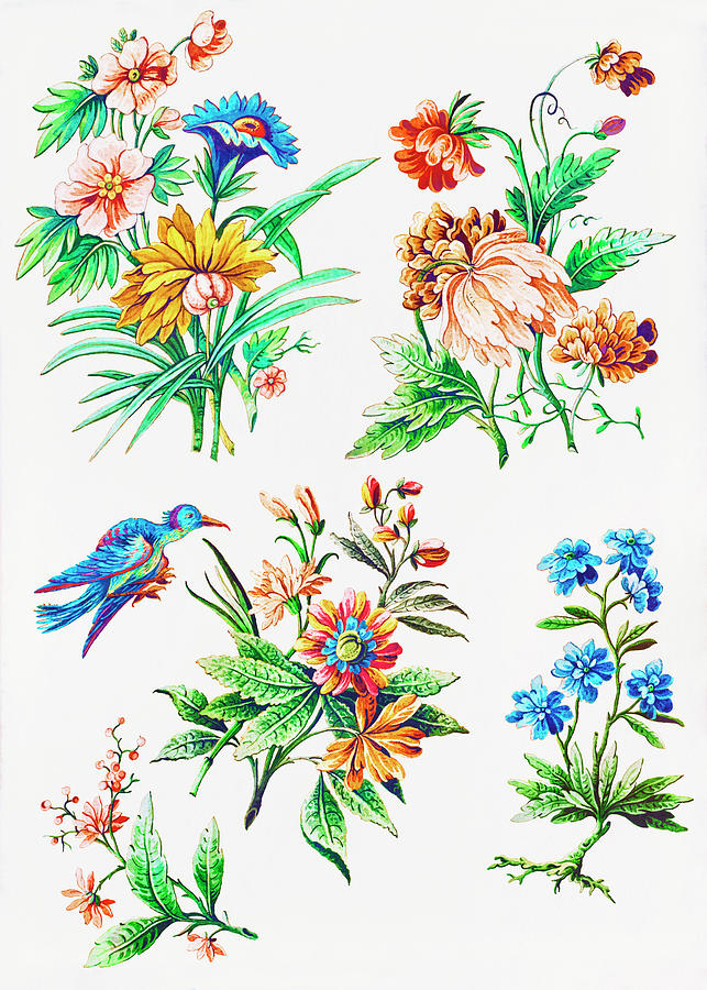 Floral Designs With A Blue Bird Drawing