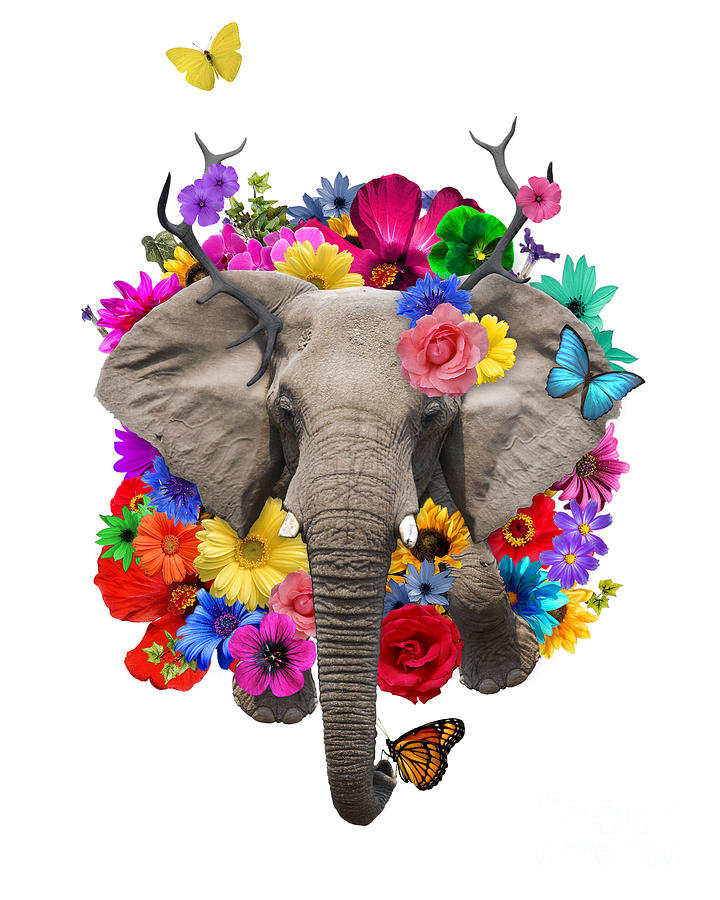 Elephant Digital Art - Floral elephant with butterflies by Madame Memento