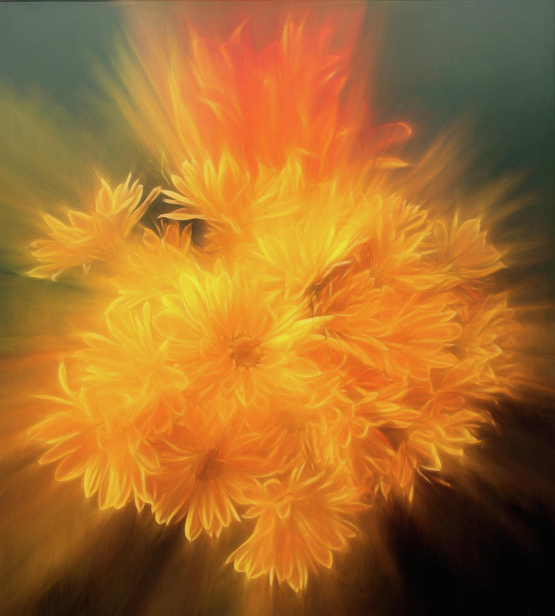 Floral Explosion 2 Mixed Media by Dan Sproul
