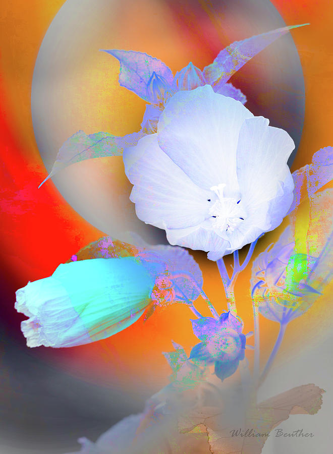 Abstract Photograph - Floral Fantasy 6 by William Beuther