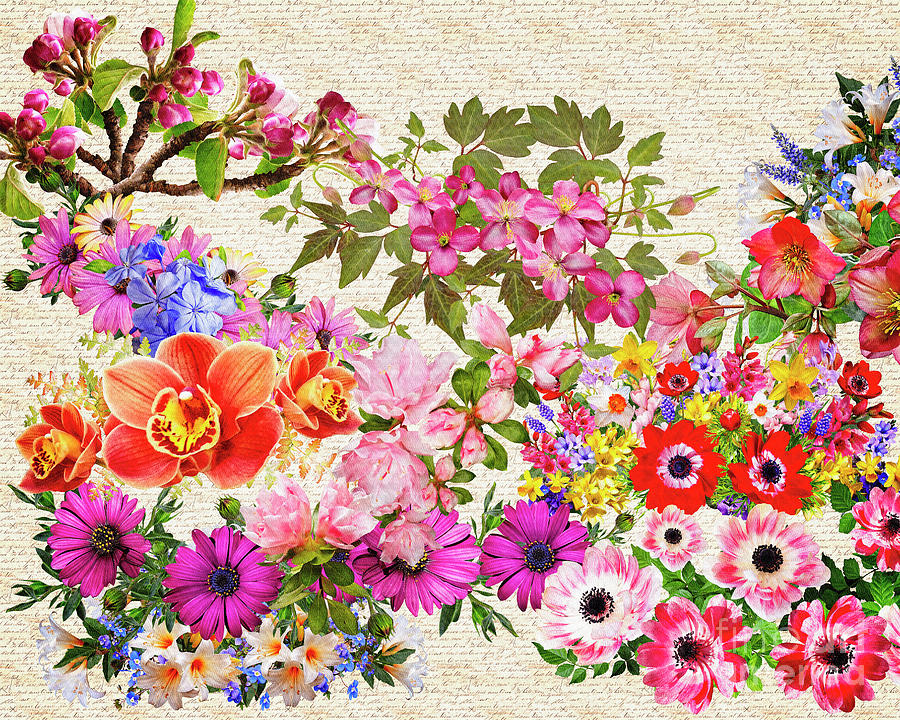 Floral Feast Digital Art by Edmund Nagele FRPS