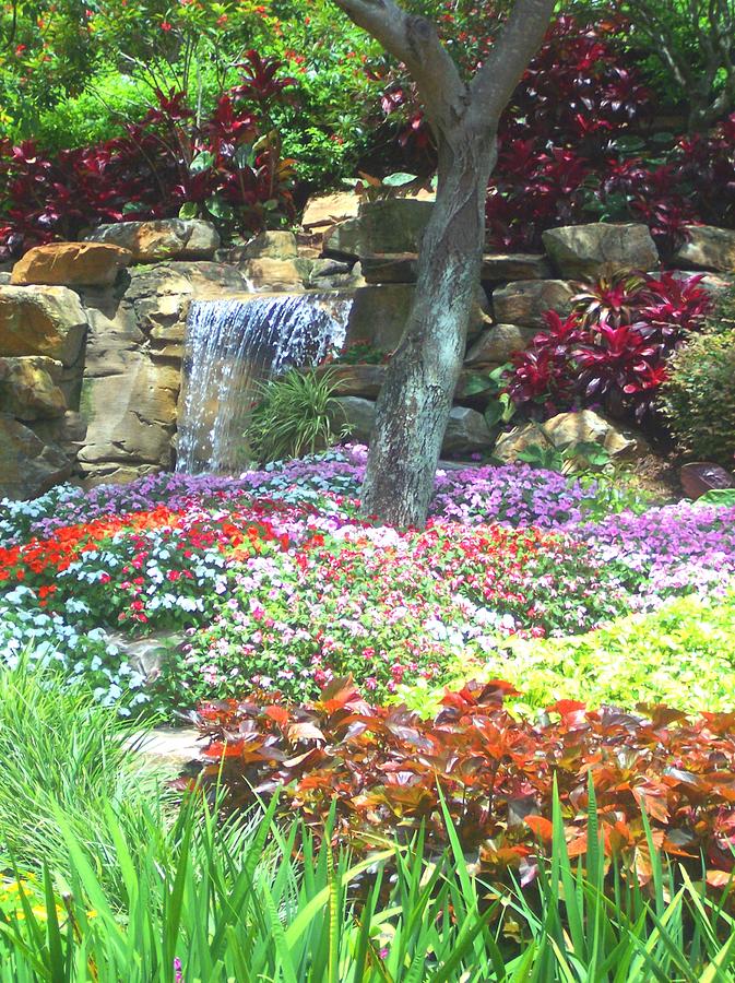 Floral Garden Photograph