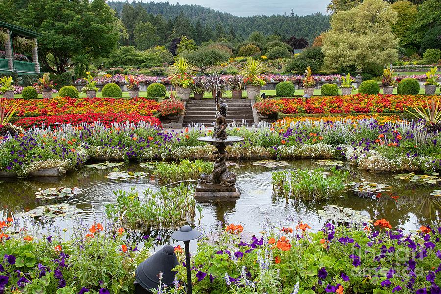 Garden Photograph - Floral Garden Splendor by Marilyn Cornwell