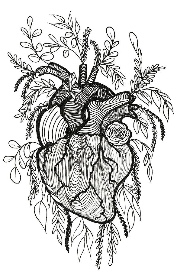 Floral Heart Drawing by Kathy Pope Floral Heart Drawing by Kathy Pope