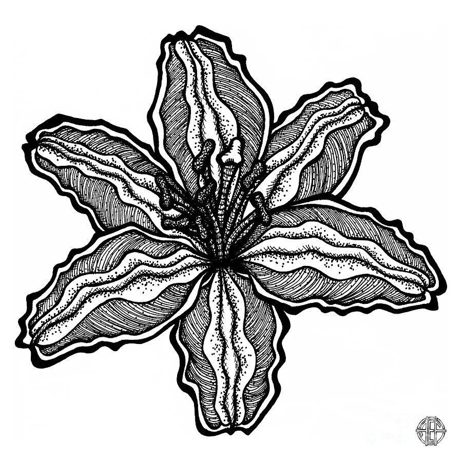 Floral Icon 99 Drawing by Amy E Fraser