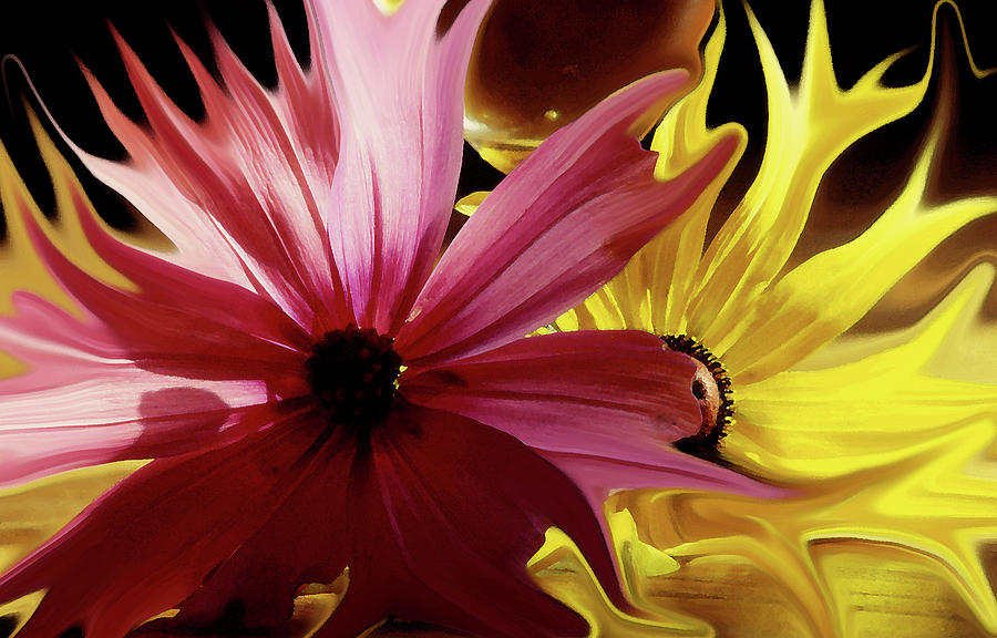 Floral Mindscape Photograph by Wayne King