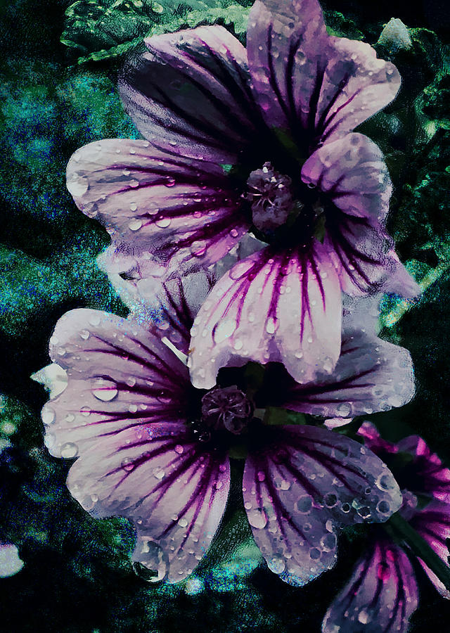 Floral Mist Digital Art by Jeremy Lyman