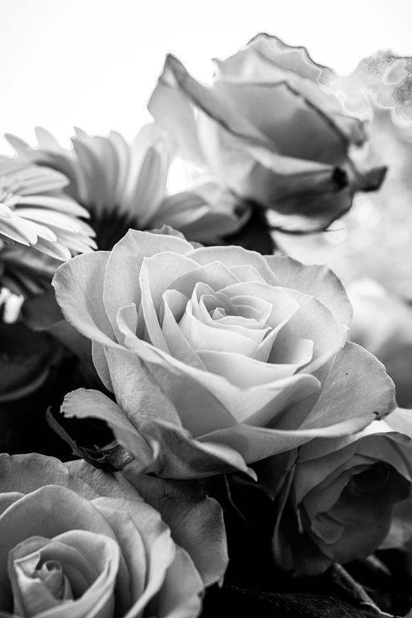 Floral Monotone  Photograph by W Craig Photography
