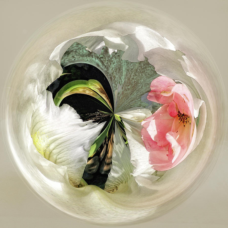 Floral Orb Photograph by Karen Lynch