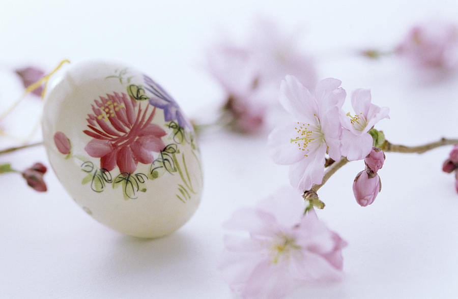 Floral painting on egg, Easter tradition, close up Photograph by Achim Sass