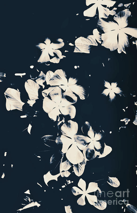 Floral Pattern 2 #moody Photograph by Andrea Anderegg