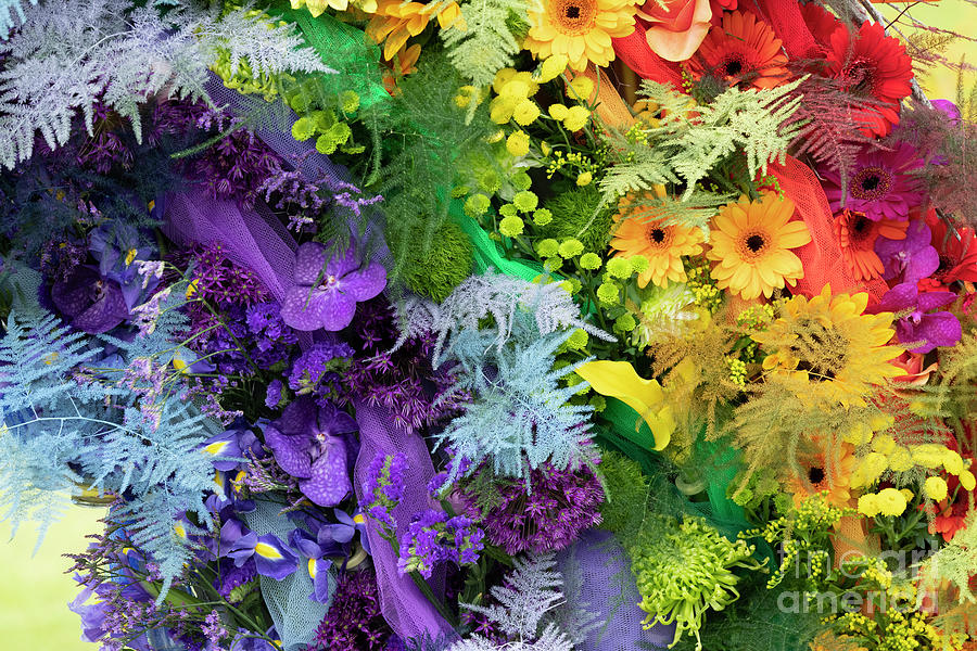 Floral Rainbow Photograph by Tim Gainey