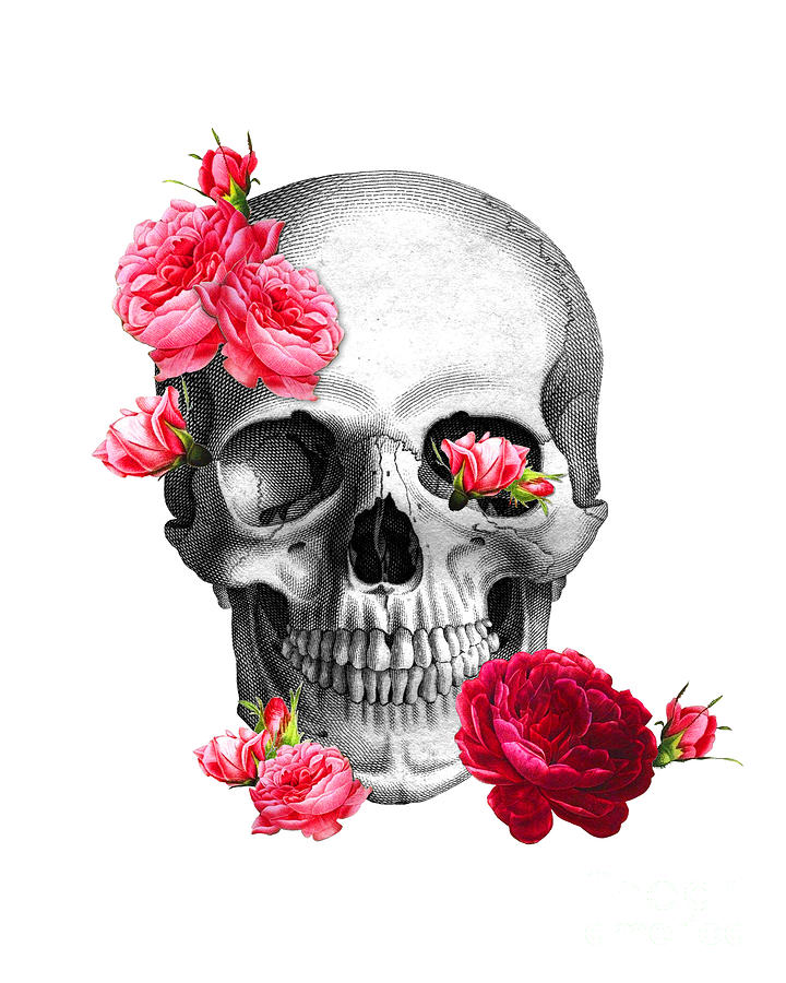 Rose Digital Art - Floral skull by Madame Memento
