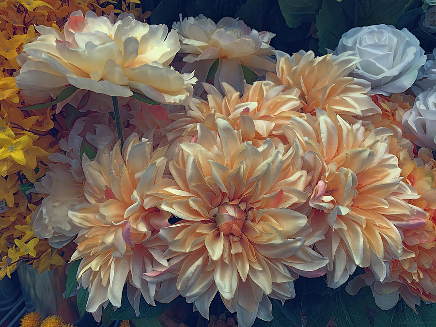 Floral Splendor Photograph by John Rivera