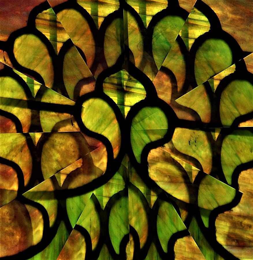 Floral Stained Glass Illusion Mixed Media by Emma Carter Brooks