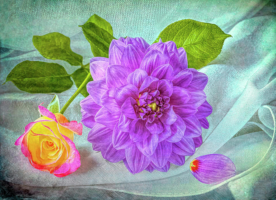 Floral Still Life Art Photograph by Loredana Gallo Migliorini