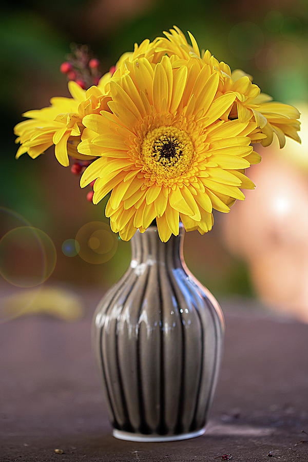 Floral Sunshine Photograph by Vanessa Thomas