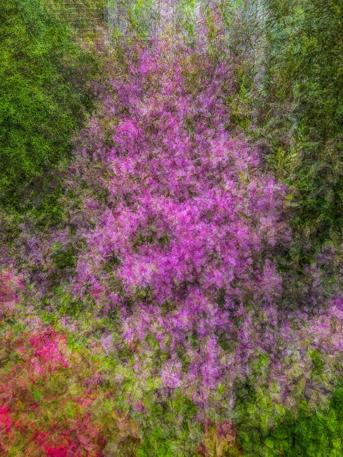 Floral Tapestry Photograph by Cate Franklyn Floral Tapestry Photograph by Cate Franklyn