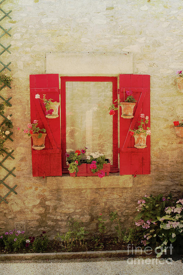 Floral Window Display #2 Photograph by Elaine Teague