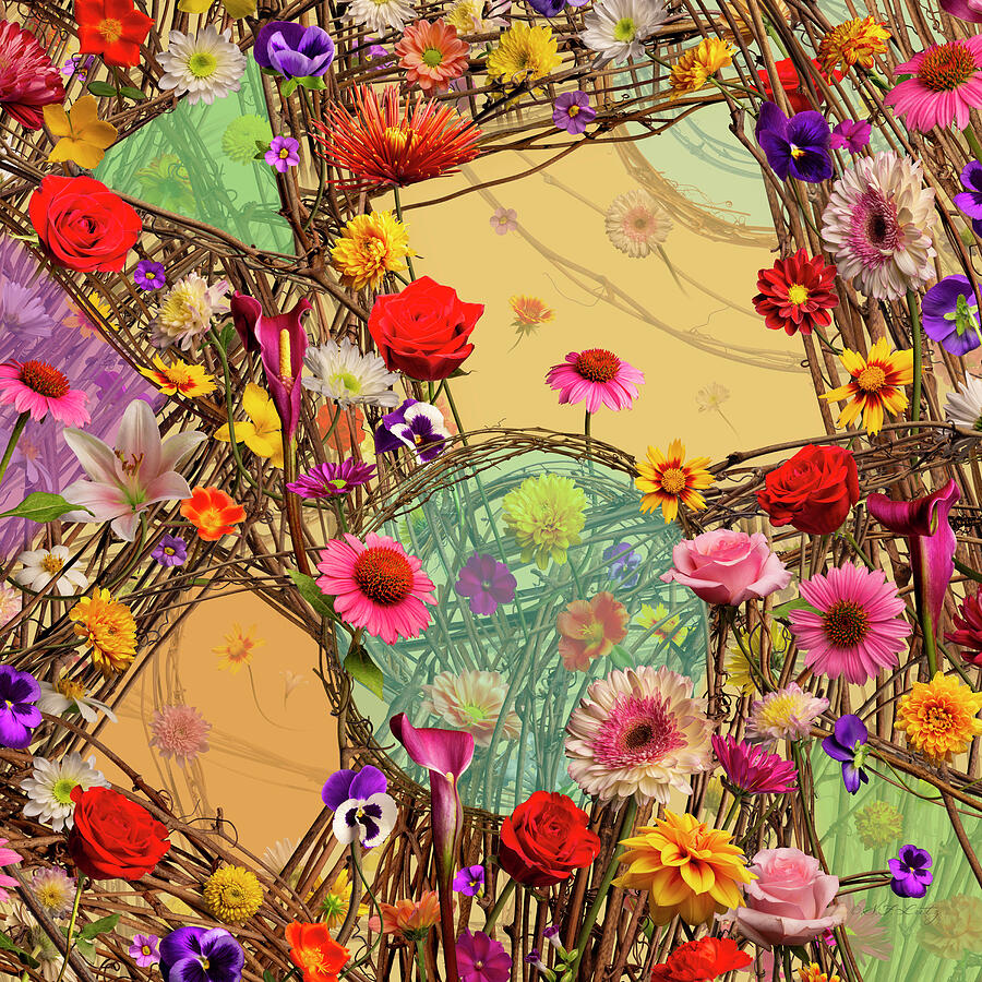 Floramation Photograph by Steven Lutz Floramation Photograph by Steven Lutz