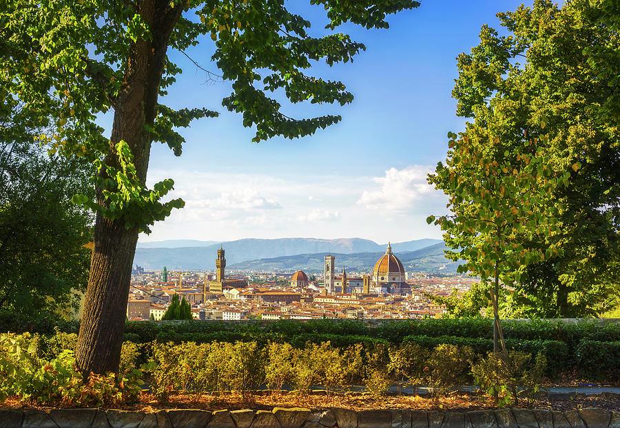 Florence cityscape from a garden Photograph by Stefano Orazzini