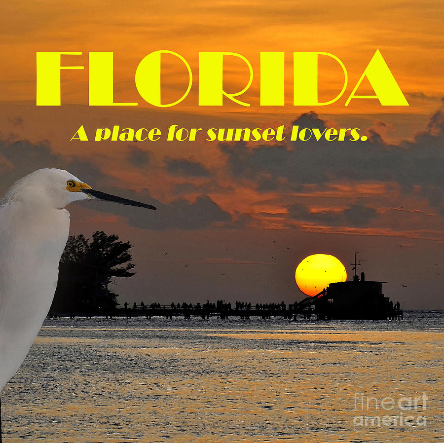 Florida a place for sunset lovers Mixed Media by David Lee Thompson