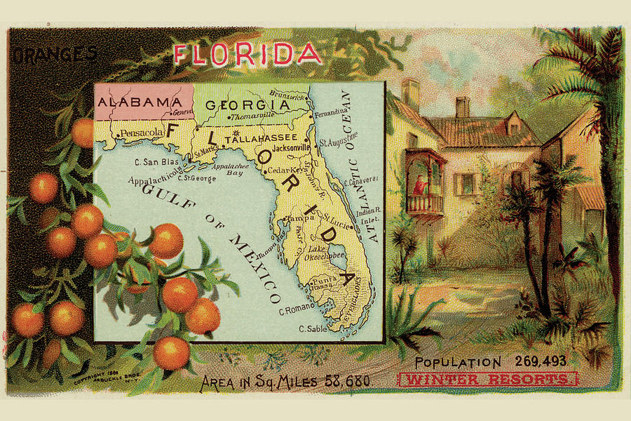 Map Drawing - Florida by Arbuckle Brothers