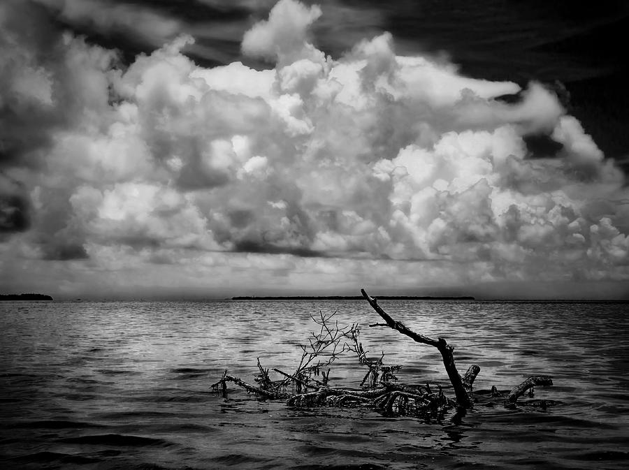 Florida Bay 6965BW Photograph by Rudy Umans