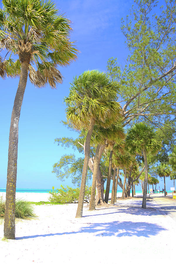 Florida Beaches Digital Art by Alison Belsan Horton