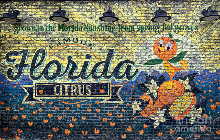 Florida Citrus - Brick Wall Photograph by Dale Powell