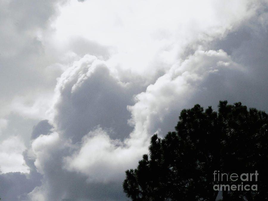 Florida Clouds Photograph by Sharon Williams Eng