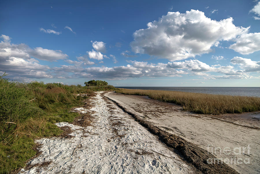 Florida Coast Photograph by Felix Lai