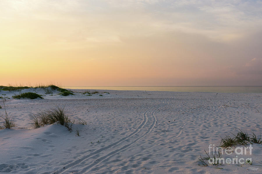 Florida Coastline Gold Hour Sunrise Photograph by Jennifer White