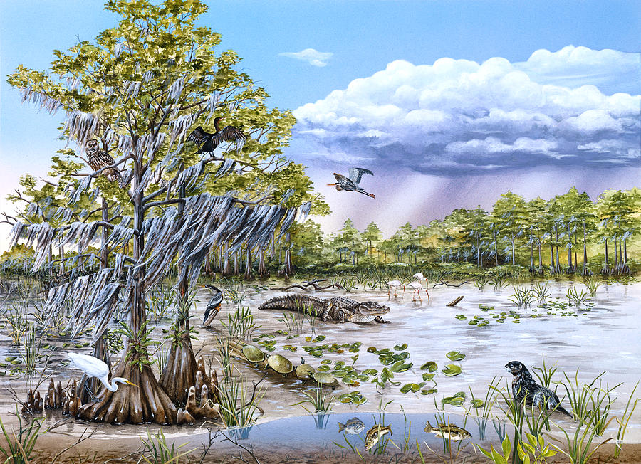 Florida Cypress Swamp Critters Painting by Dawn Witherington - Pixels