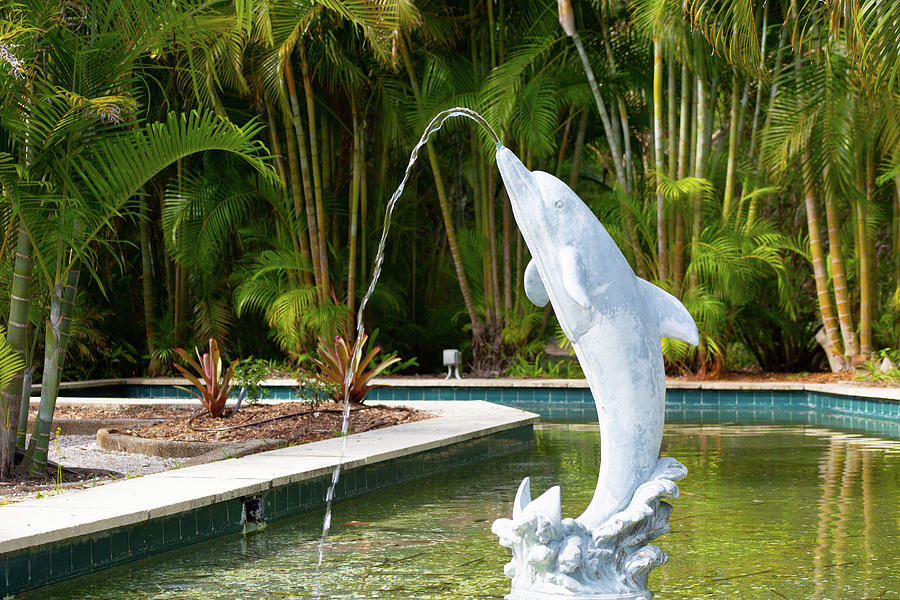 Florida Dolphin Fountain Pyrography by Randall Photoshoot - Fine Art ...