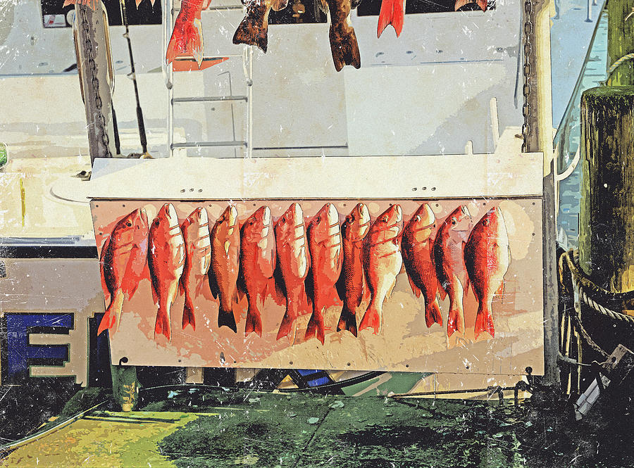 Florida Fishing Charter Redfish Mixed Media by Dan Sproul