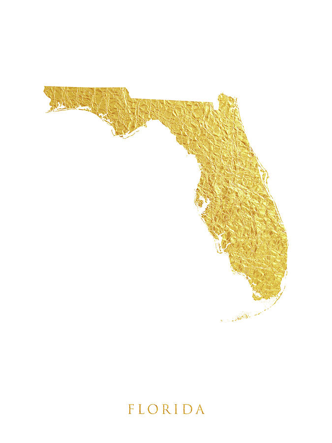 Florida Gold Map #49 Digital Art by Michael Tompsett