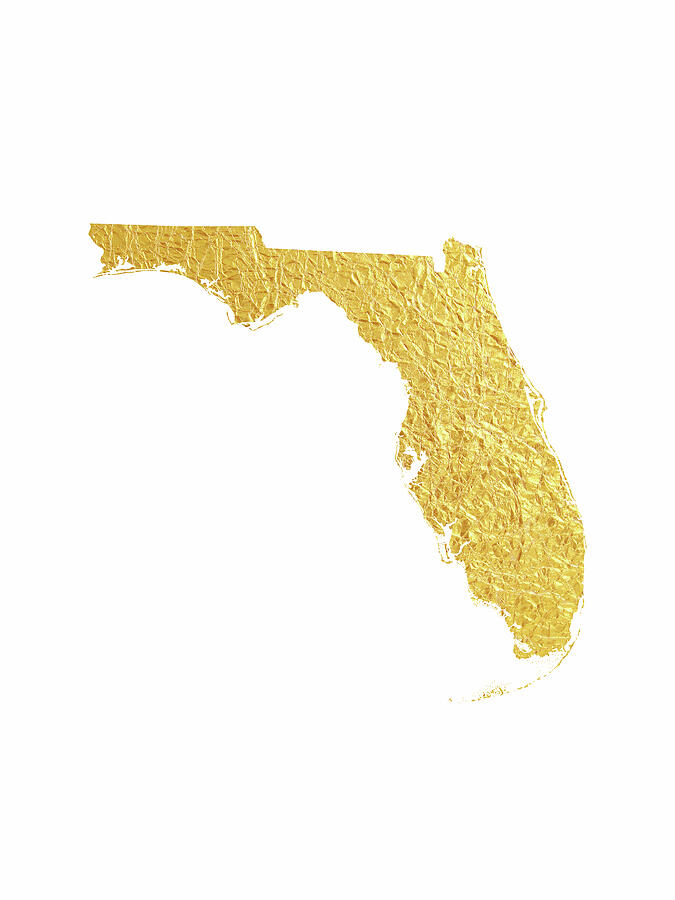 Florida Gold Map, no state name Digital Art by Michael Tompsett Florida Gold Map, no state name Digital Art by Michael Tompsett