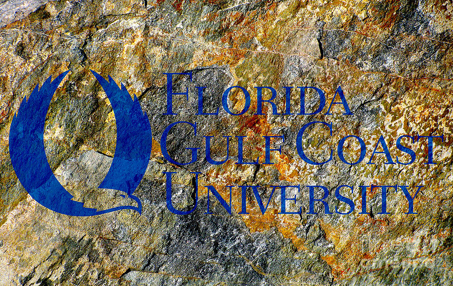 Florida Gulf Coast University Digital Art by Steven Parker